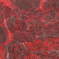 Aboriginal Art by Christine Nakamarra Curtis, Mina Mina Jukurrpa, 91x91cm - ART ARK®