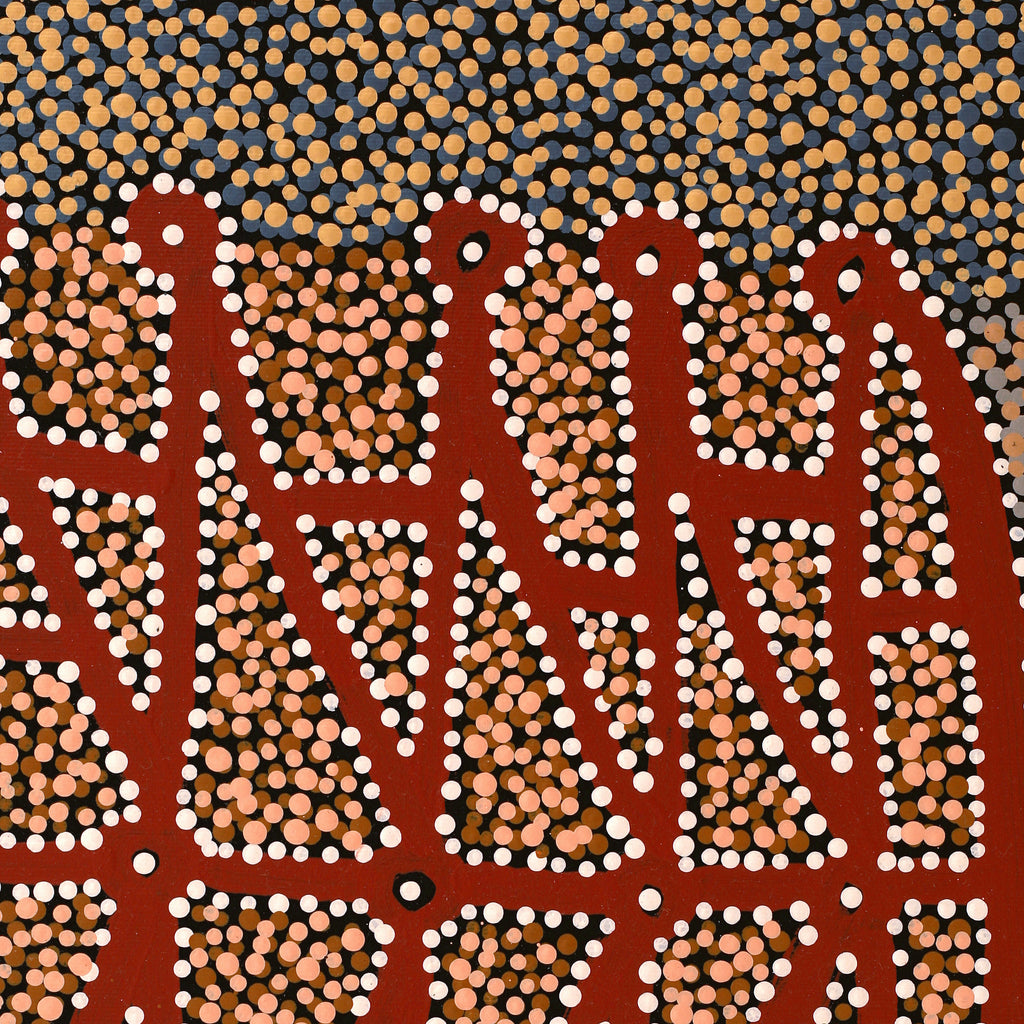 Aboriginal Artwork by Clarissa Nangala Williams, Ngapa Jukurrpa (Water Dreaming) - Puyurru, 50x40cm