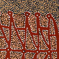 Aboriginal Artwork by Clarissa Nangala Williams, Ngapa Jukurrpa (Water Dreaming) - Puyurru, 50x40cm