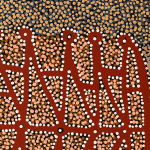 Aboriginal Artwork by Clarissa Nangala Williams, Ngapa Jukurrpa (Water Dreaming) - Puyurru, 50x40cm - ART ARK®