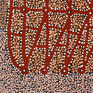 Aboriginal Artwork by Clarissa Nangala Williams, Ngapa Jukurrpa (Water Dreaming) - Puyurru, 50x40cm - ART ARK®