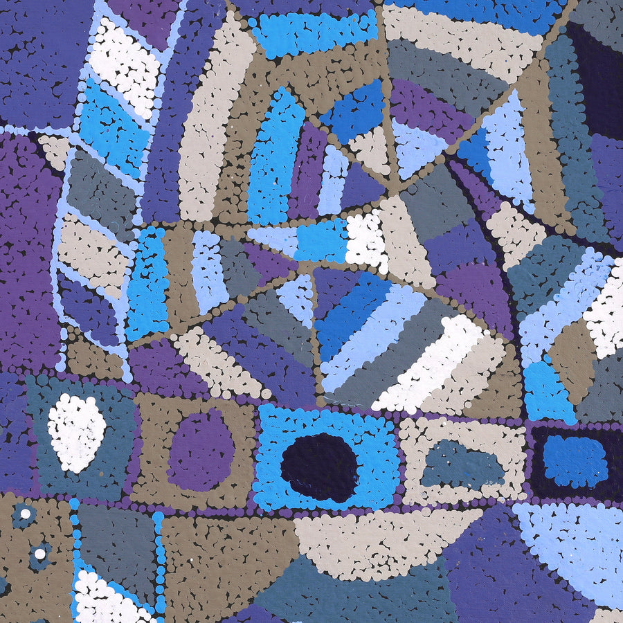 Aboriginal Artwork by Clarissa Nangala Williams, Ngapa Jukurrpa (Water Dreaming) - Puyurru, 61x61cm