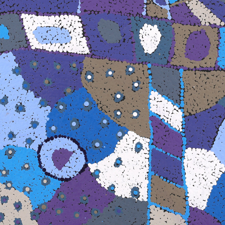 Aboriginal Artwork by Clarissa Nangala Williams, Ngapa Jukurrpa (Water Dreaming) - Puyurru, 61x61cm