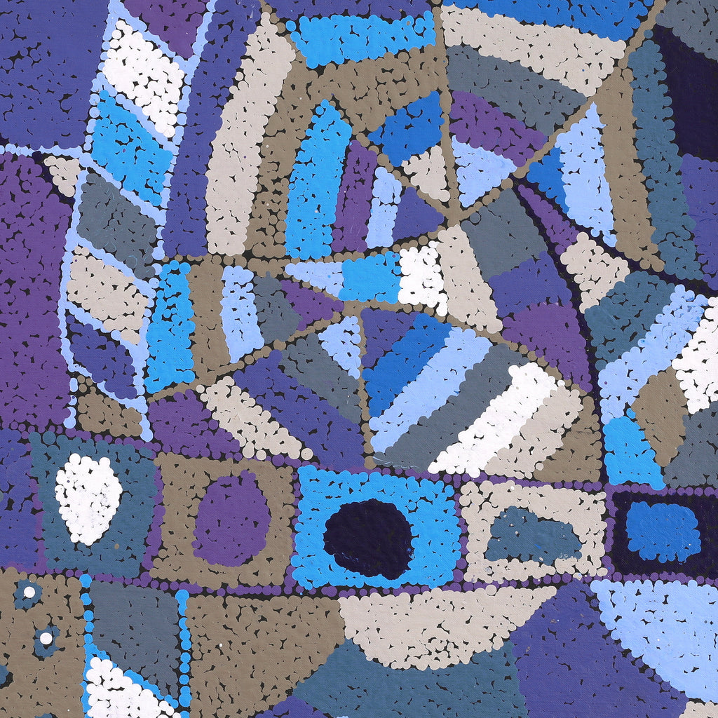 Aboriginal Artwork by Clarissa Nangala Williams, Ngapa Jukurrpa (Water Dreaming) - Puyurru, 61x61cm