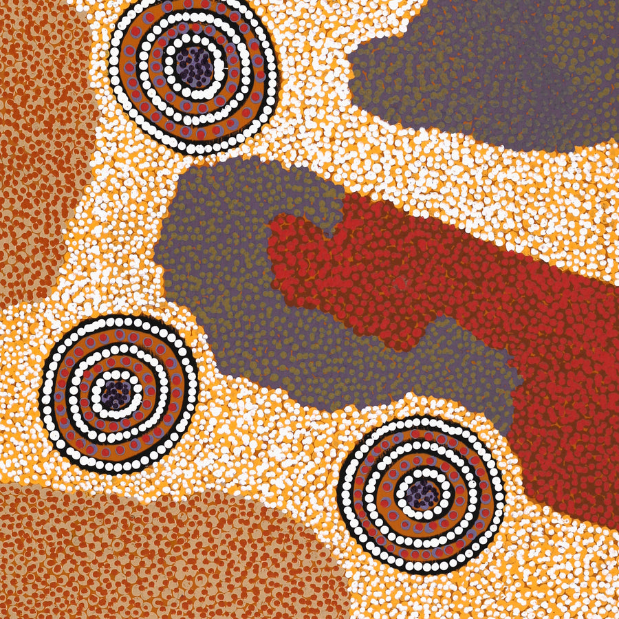 Aboriginal Artwork by Colin Jakamarra Gibson, Yankirri Jukurrpa (Emu Dreaming) - Ngarlikurlangu, 122x46cm