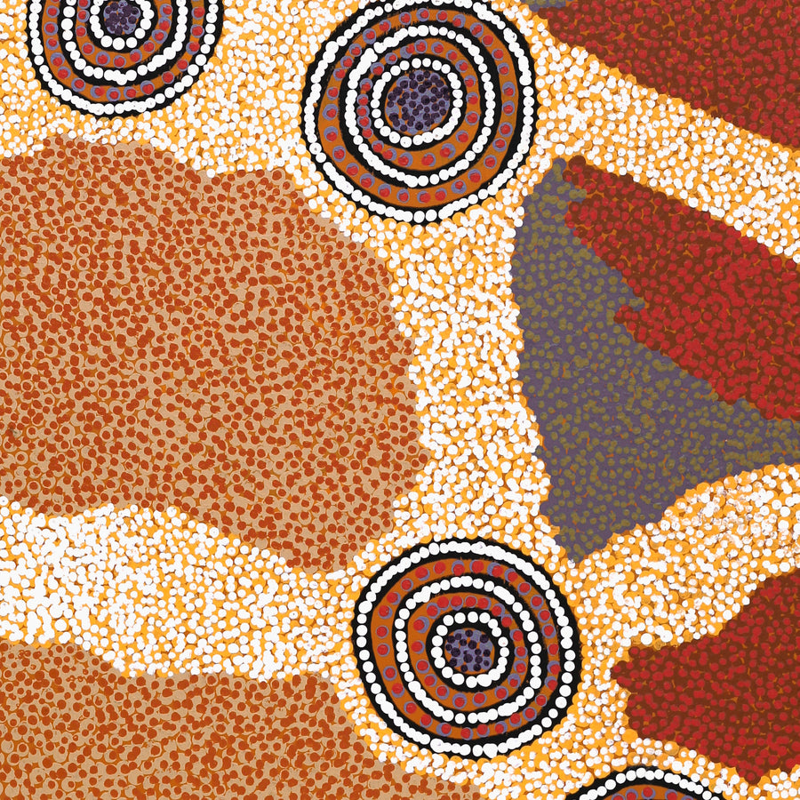 Aboriginal Artwork by Colin Jakamarra Gibson, Yankirri Jukurrpa (Emu Dreaming) - Ngarlikurlangu, 122x46cm