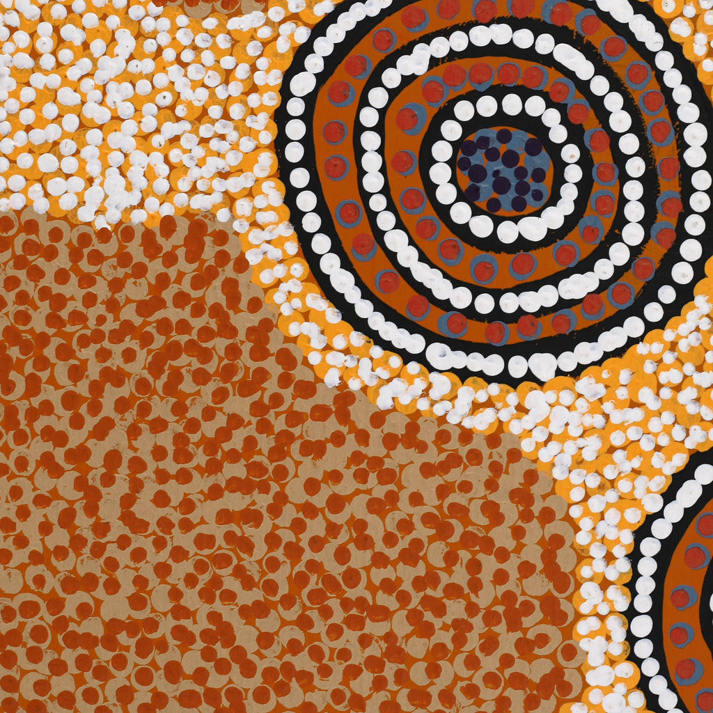 Aboriginal Art by Colin Jakamarra Gibson, Yankirri Jukurrpa (Emu Dreaming) - Ngarlikurlangu, 122x46cm - ART ARK®