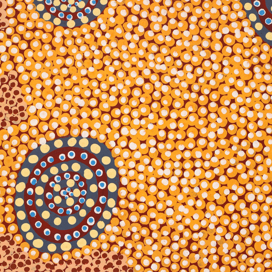 Aboriginal Artwork by Colin Jakamarra Gibson, Yankirri Jukurrpa (Emu Dreaming) - Ngarlikurlangu, 76x61cm