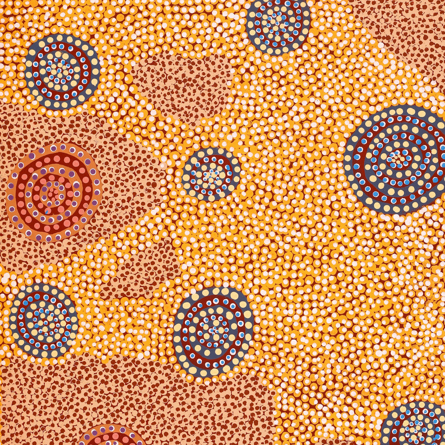 Aboriginal Artwork by Colin Jakamarra Gibson, Yankirri Jukurrpa (Emu Dreaming) - Ngarlikurlangu, 76x61cm