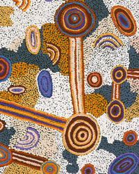 Aboriginal Artwork by Colin Jakamarra Gibson, Yurrampi Jukurrpa (Honey Ant Dreaming), 91x61cm