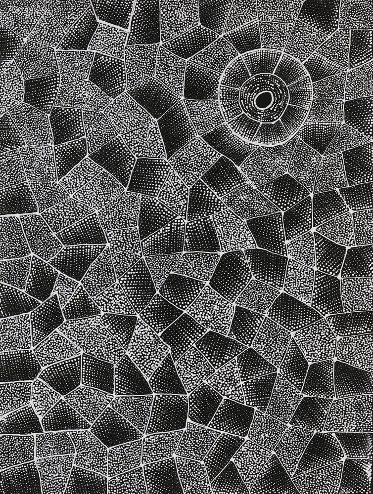 Aboriginal Artwork by Corinne Nampijinpa Ryan, Ngalyarrpa manu Puluku Jukurrpa, 61x46cm