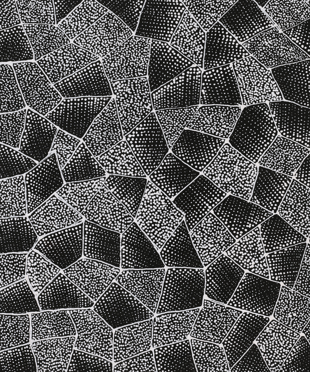 Corinne Nampijinpa Ryan, Ngalyarrpa manu Puluku Jukurrpa, 61x46cm