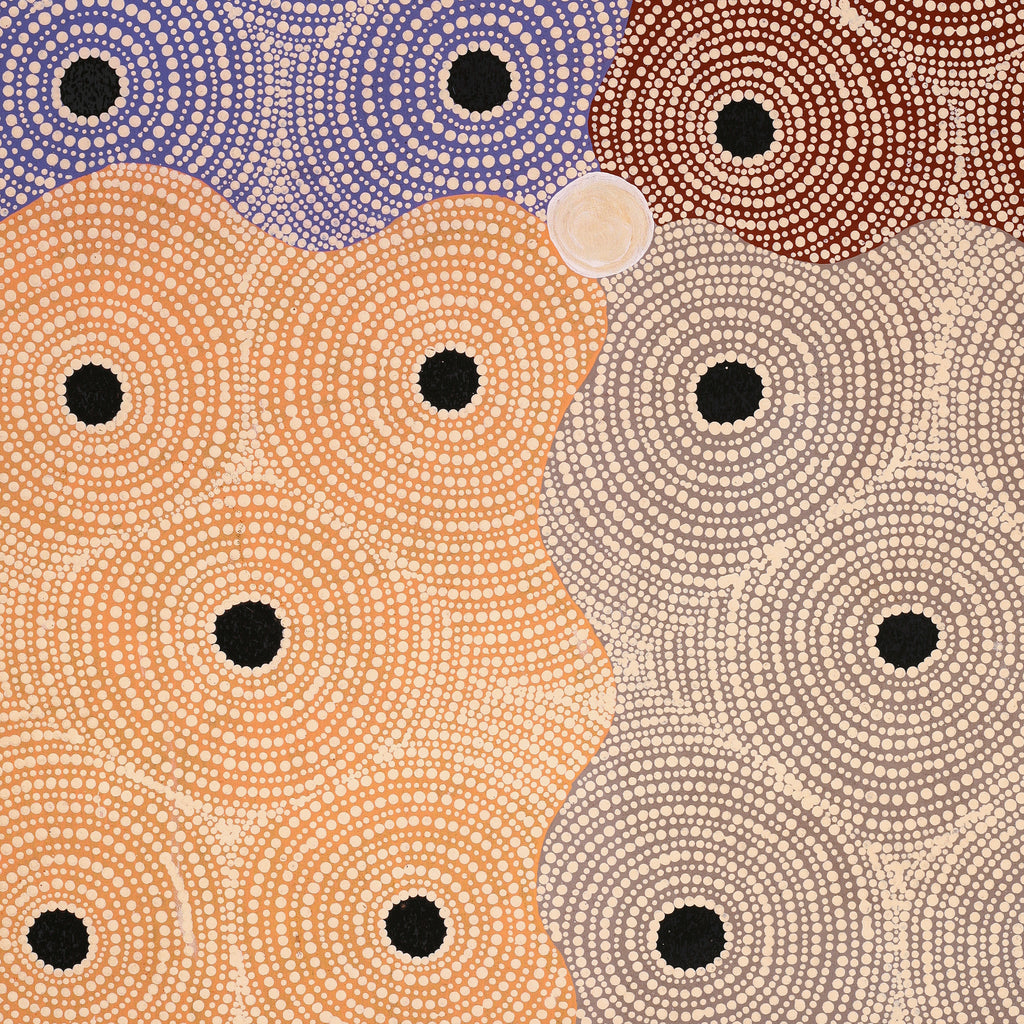 Aboriginal Artwork by Crystal Nungarrayi Morris, Ngapa Jukurrpa (Water Dreaming) - Mikanji, 76x61cm