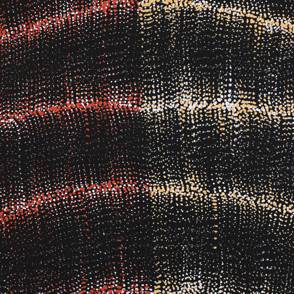 Aboriginal Artwork by Debbie Napaljarri Brown, Wanakiji Jukurrpa (Bush Tomato Dreaming), 122x61cm