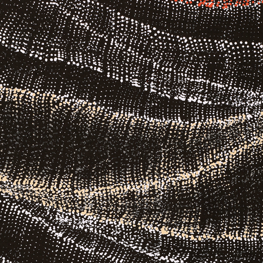 Aboriginal Artwork by Debbie Napaljarri Brown, Wanakiji Jukurrpa (Bush Tomato Dreaming), 152x91cm