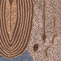 Aboriginal Artwork by Denny Jampijinpa Frank, Wati-jarra Jukurrpa (Two Men Dreaming), 46x46cm