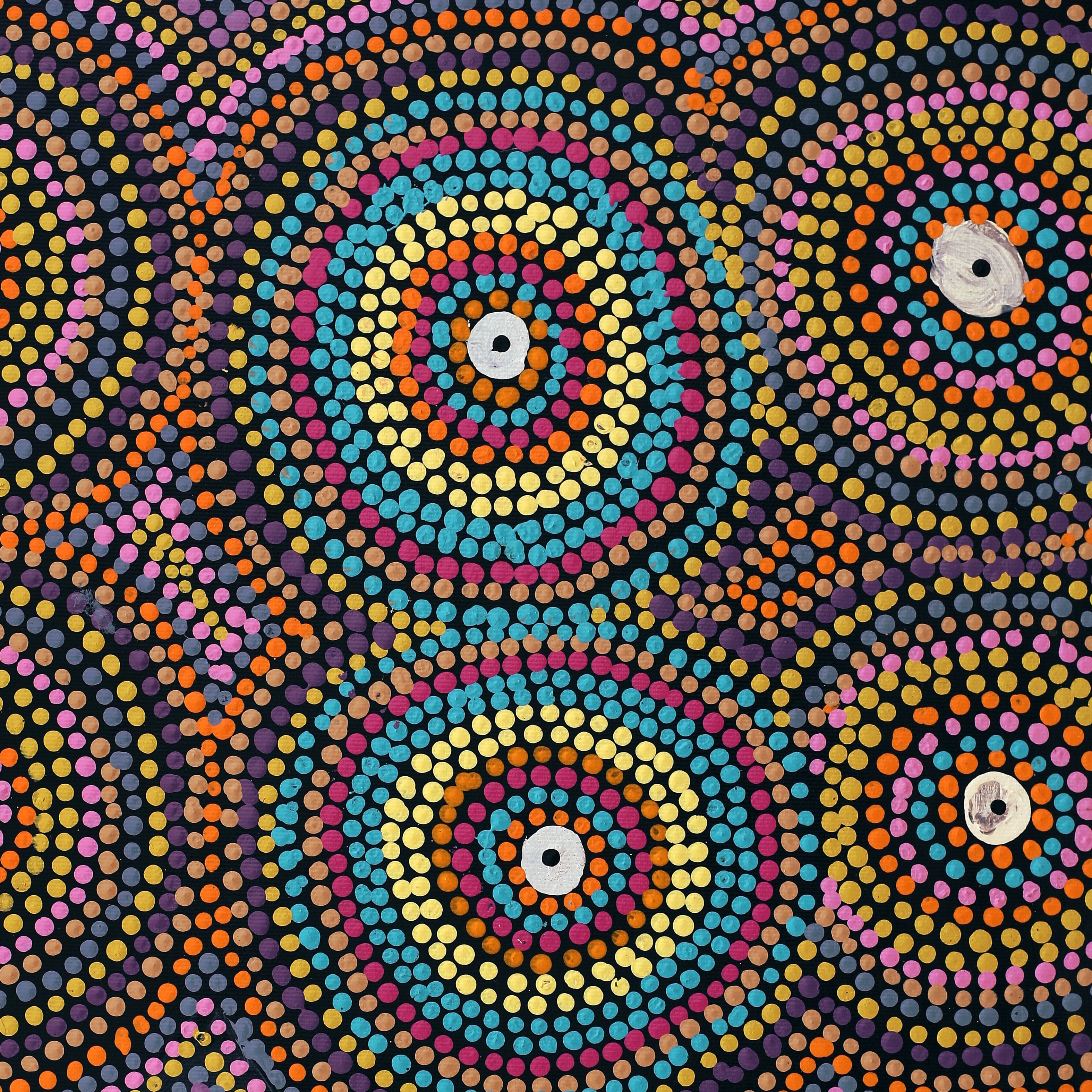 Nancy Campbell Napangardi アボリジニアート DaisyFRank50x40cm1532-23crop2.