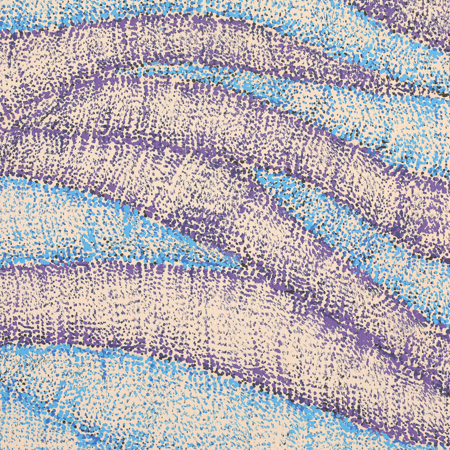 Aboriginal Artwork by Debbie Napaljarri Brown, Wanakiji Jukurrpa (Bush Tomato Dreaming), 107x107cm