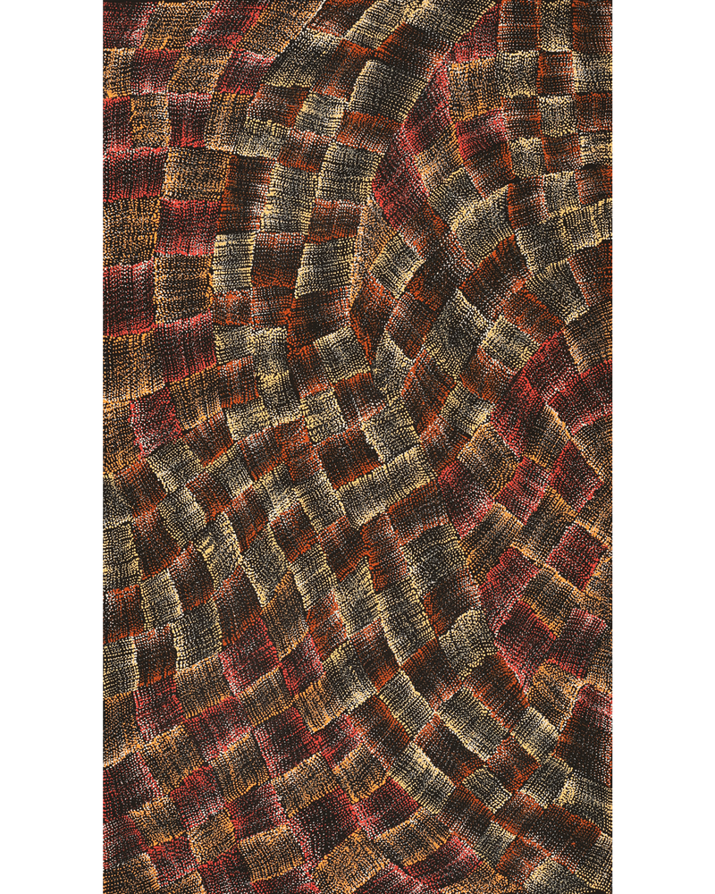 Aboriginal Artwork by Debbie Napaljarri Brown, Wanakiji Jukurrpa (Bush Tomato Dreaming), 107x61cm