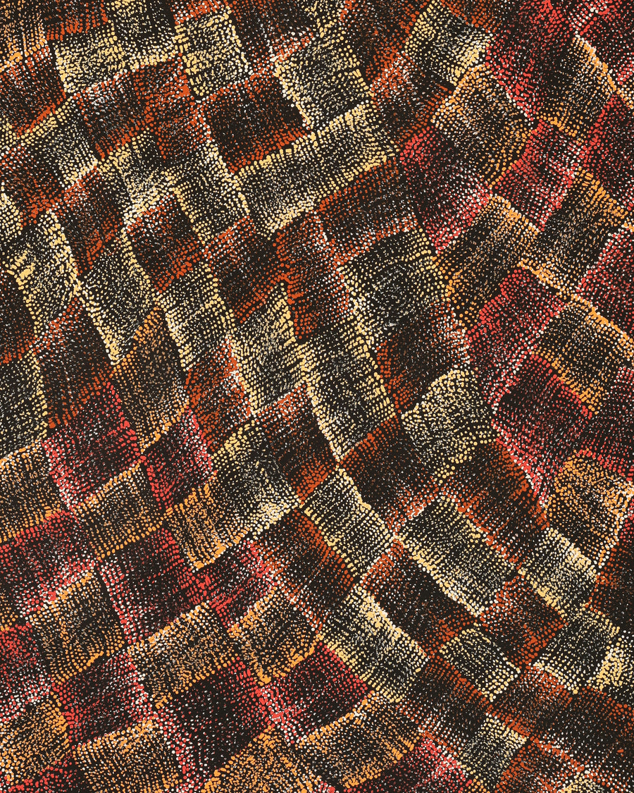 Aboriginal Artwork by Debbie Napaljarri Brown, Wanakiji Jukurrpa (Bush Tomato Dreaming), 107x61cm