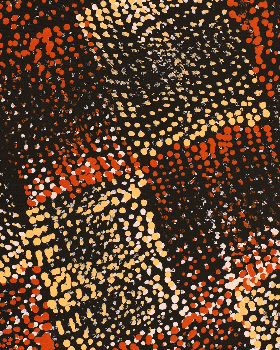 Aboriginal Artwork by Debbie Napaljarri Brown, Wanakiji Jukurrpa (Bush Tomato Dreaming), 107x61cm