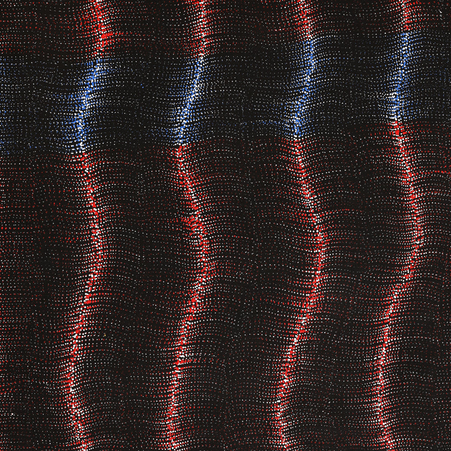 Aboriginal Artwork by Debbie Napaljarri Brown, Wanakiji Jukurrpa (Bush Tomato Dreaming), 107x61cm