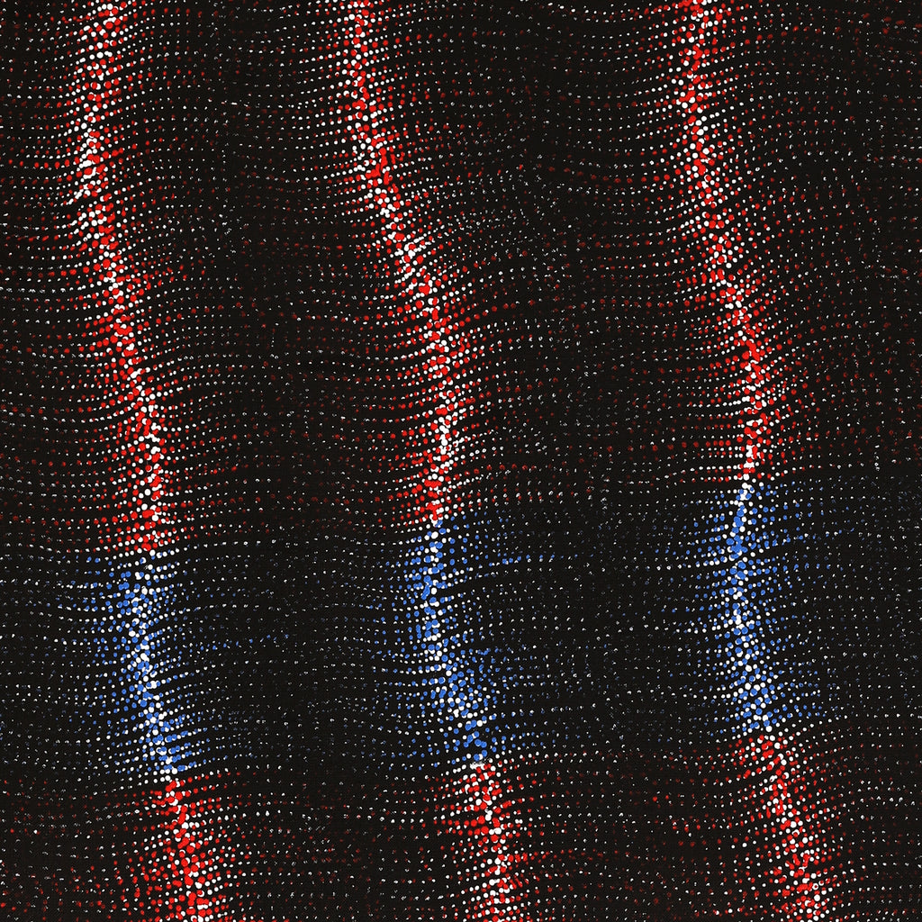 Aboriginal Artwork by Debbie Napaljarri Brown, Wanakiji Jukurrpa (Bush Tomato Dreaming), 107x61cm