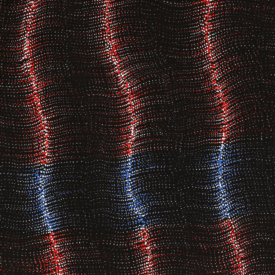 Aboriginal Artwork by Debbie Napaljarri Brown, Wanakiji Jukurrpa (Bush Tomato Dreaming), 107x61cm