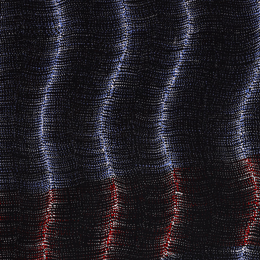 Aboriginal Artwork by Debbie Napaljarri Brown, Wanakiji Jukurrpa (Bush Tomato Dreaming), 122x76cm