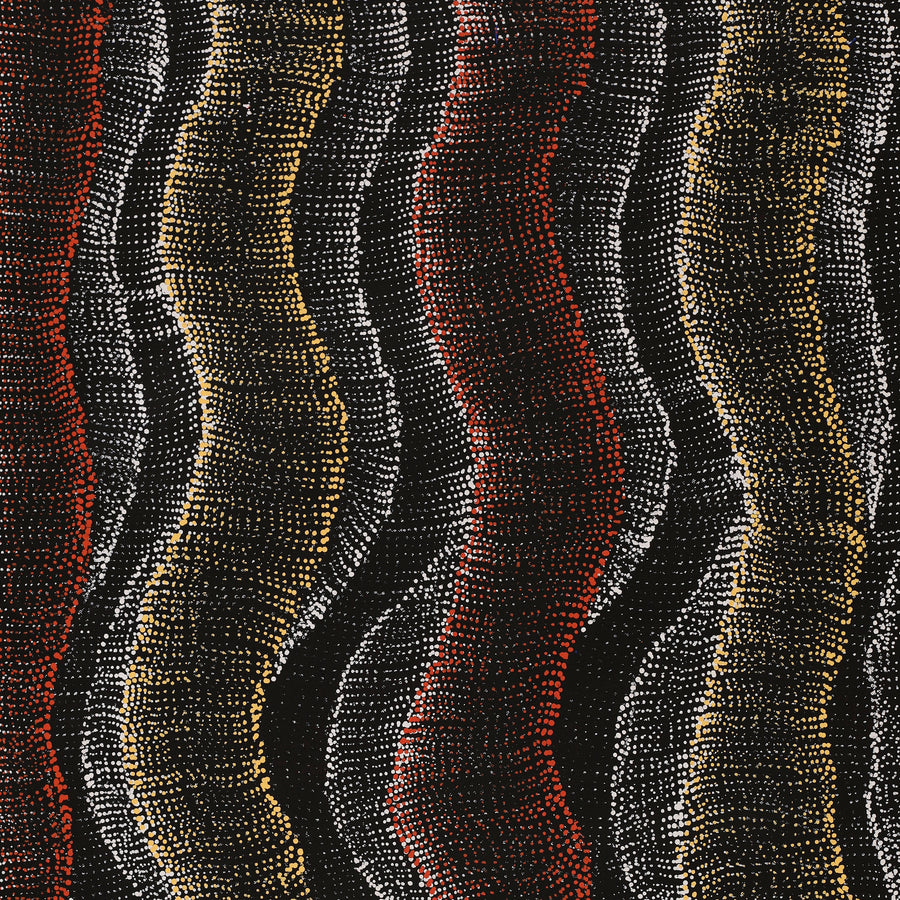 Aboriginal Artwork by Debbie Napaljarri Brown, Wanakiji Jukurrpa (Bush Tomato Dreaming), 76x46cm