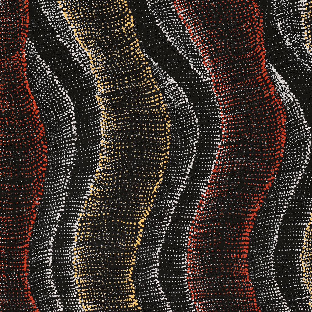 Aboriginal Artwork by Debbie Napaljarri Brown, Wanakiji Jukurrpa (Bush Tomato Dreaming), 76x46cm