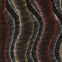 Aboriginal Artwork by Debbie Napaljarri Brown, Wanakiji Jukurrpa (Bush Tomato Dreaming), 76x46cm