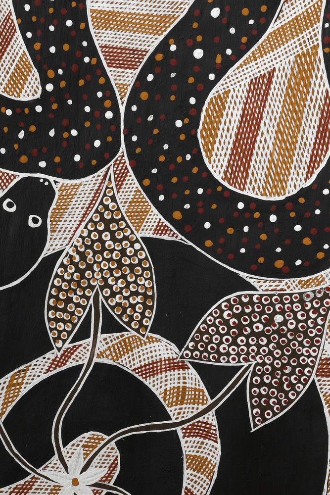 Aboriginal Artwork by Djul’djul Gurruwiwi Susan Wunuŋmurra, Witij - Rainbow Serpent, 96x48cm Bark