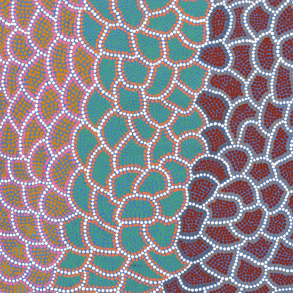 Aboriginal Artwork by Doreen Nampijinpa Tilmouth, Bush Tucker, 76x61cm