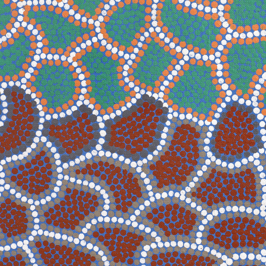 Aboriginal Artwork by Doreen Nampijinpa Tilmouth, Bush Tucker, 76x61cm