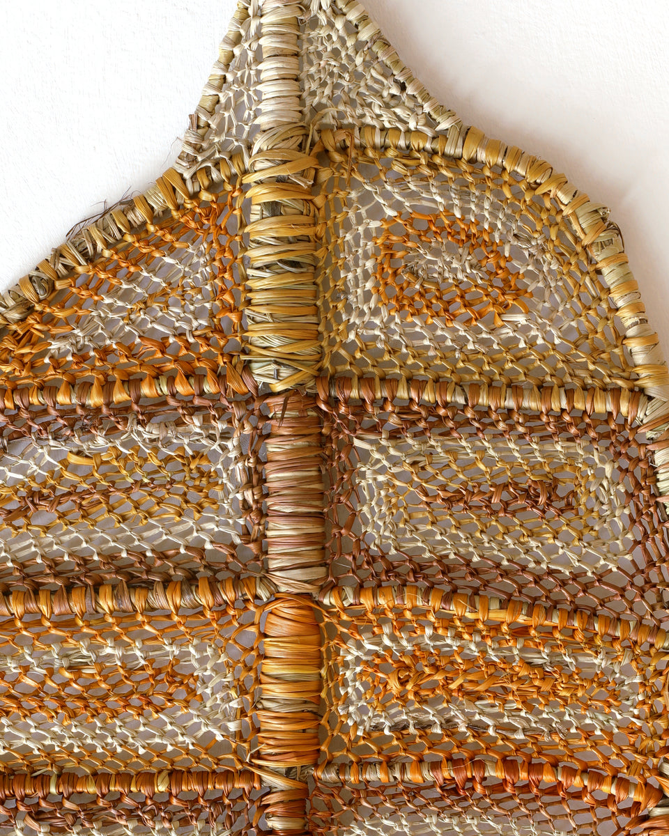 Aboriginal Artwork by Dorothy Bunibuni, Family of Nawarlah - Brown River Stingray