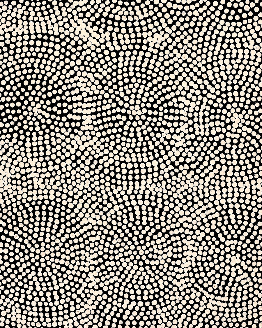 Aboriginal Artwork by Dorothy Napurrurla Dickson, Ngurlu Jukurrpa (Native Seed Dreaming), 61x30cm