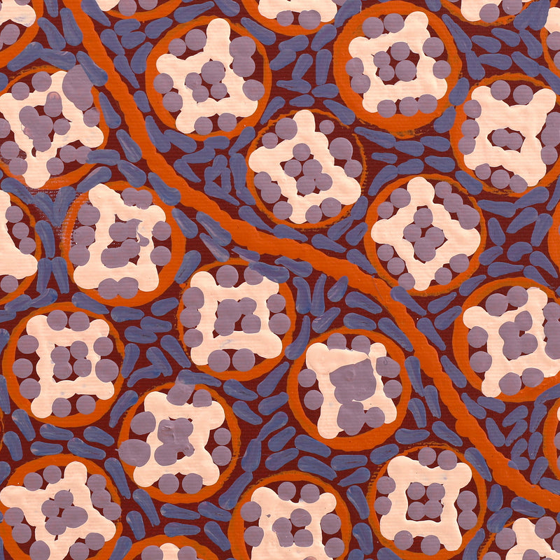 Aboriginal Artwork by Drusilla Nangala Spencer, Watiya-warnu Jukurrpa (Seed Dreaming), 30x30cm