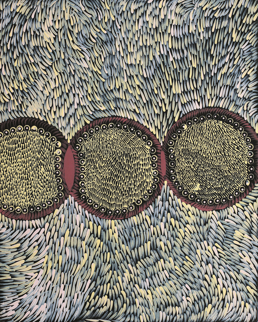 Aboriginal Artwork by Drusilla Nangala Spencer, Watiya-warnu Jukurrpa (Seed Dreaming), 50x40cm