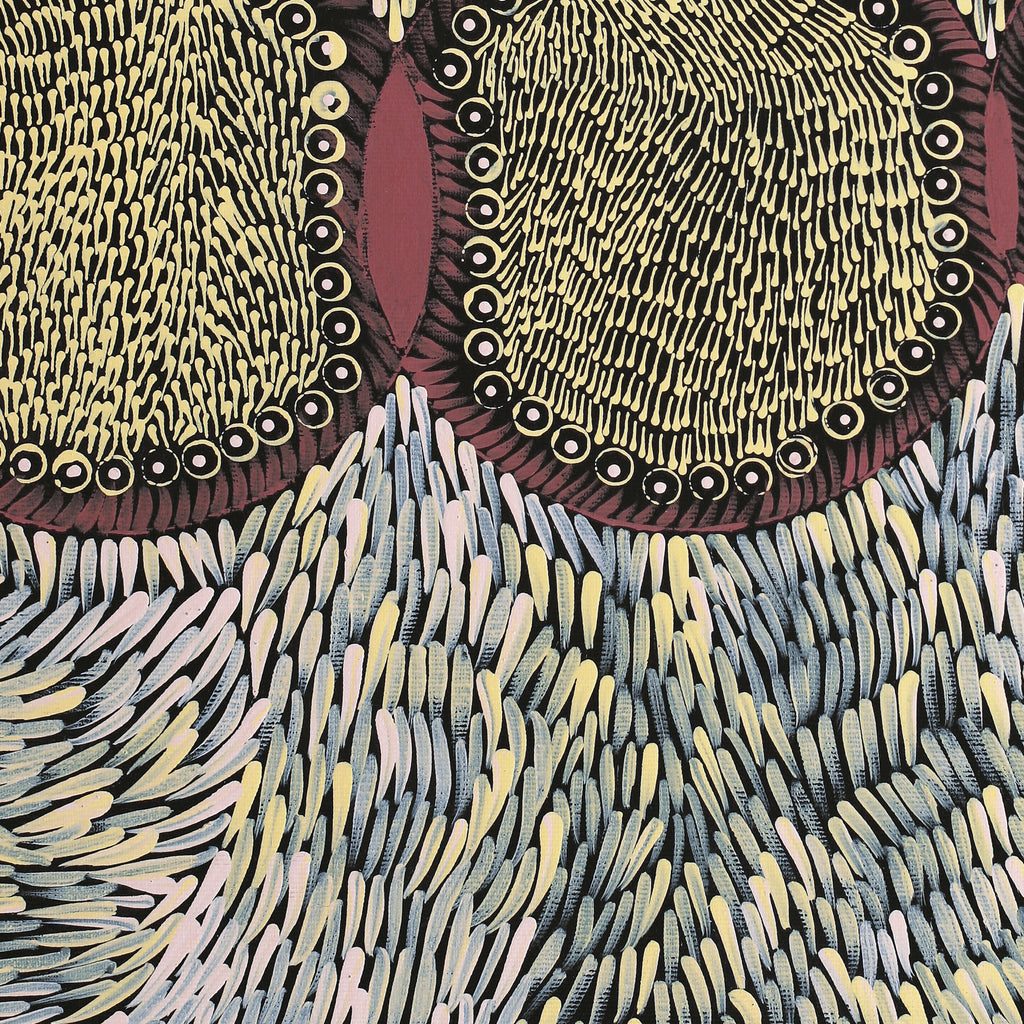 Aboriginal Artwork by Drusilla Nangala Spencer, Watiya-warnu Jukurrpa (Seed Dreaming), 50x40cm