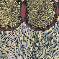 Aboriginal Artwork by Drusilla Nangala Spencer, Watiya-warnu Jukurrpa (Seed Dreaming), 50x40cm