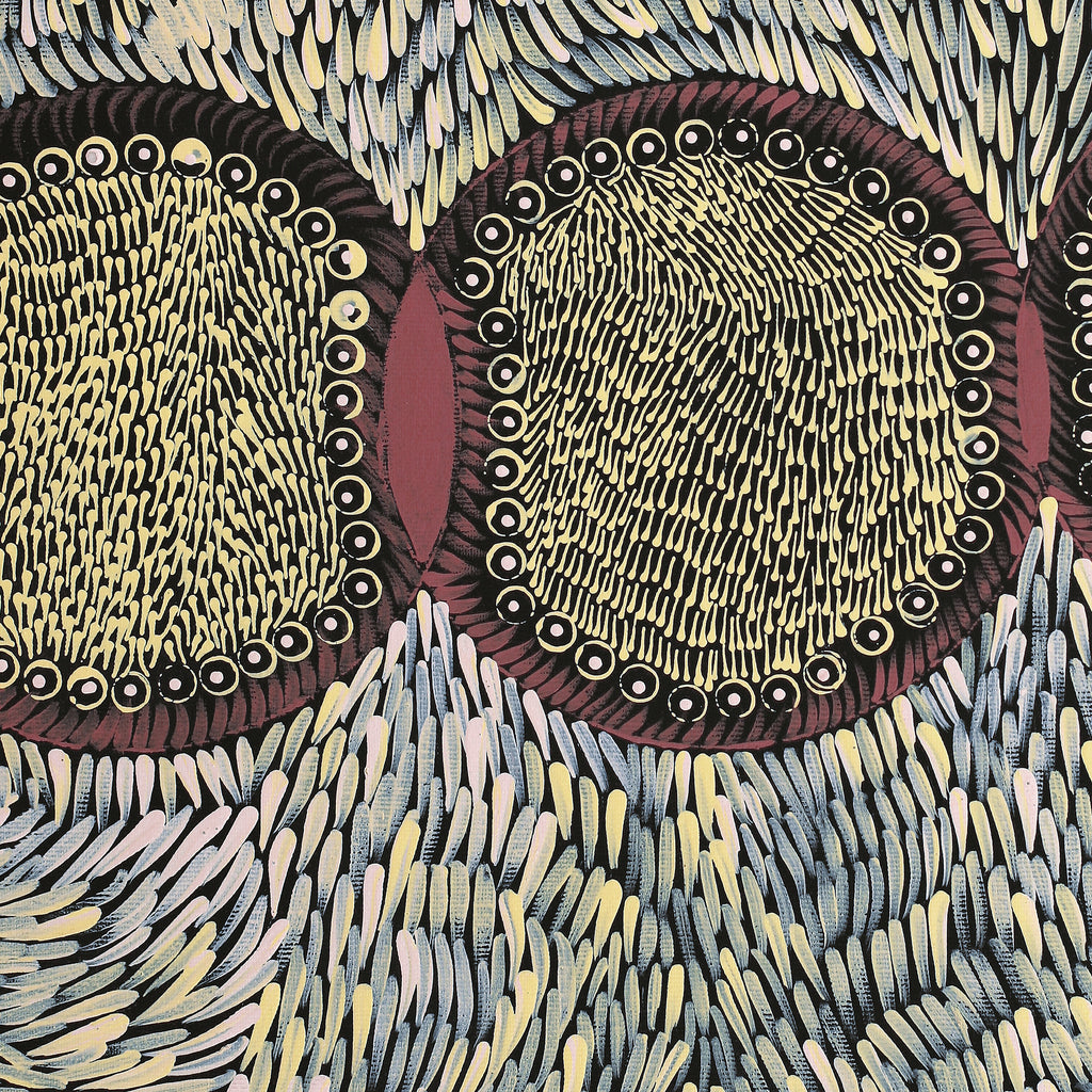 Aboriginal Artwork by Drusilla Nangala Spencer, Watiya-warnu Jukurrpa (Seed Dreaming), 50x40cm