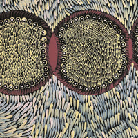 Aboriginal Artwork by Drusilla Nangala Spencer, Watiya-warnu Jukurrpa (Seed Dreaming), 50x40cm