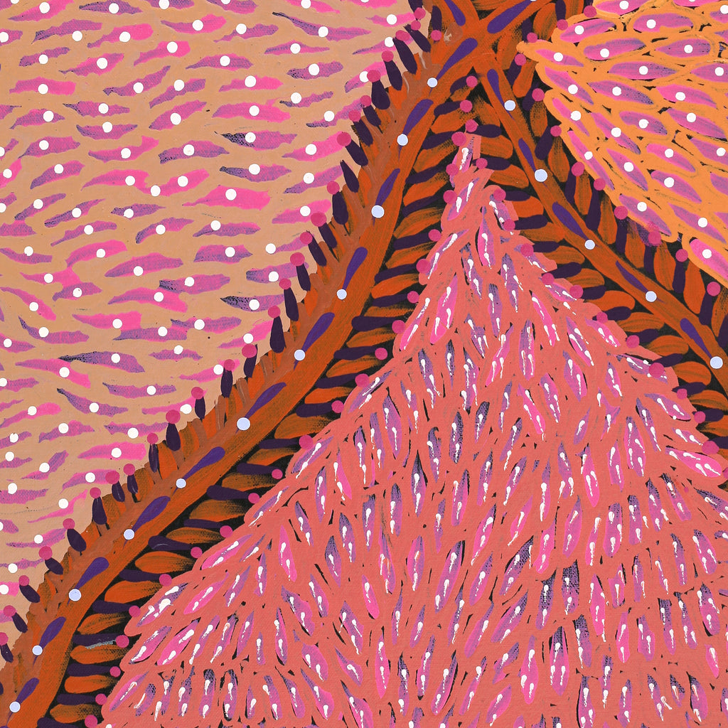 Aboriginal Artwork by Drusilla Nangala Spencer, Watiya-warnu Jukurrpa (Seed Dreaming), 61x46cm