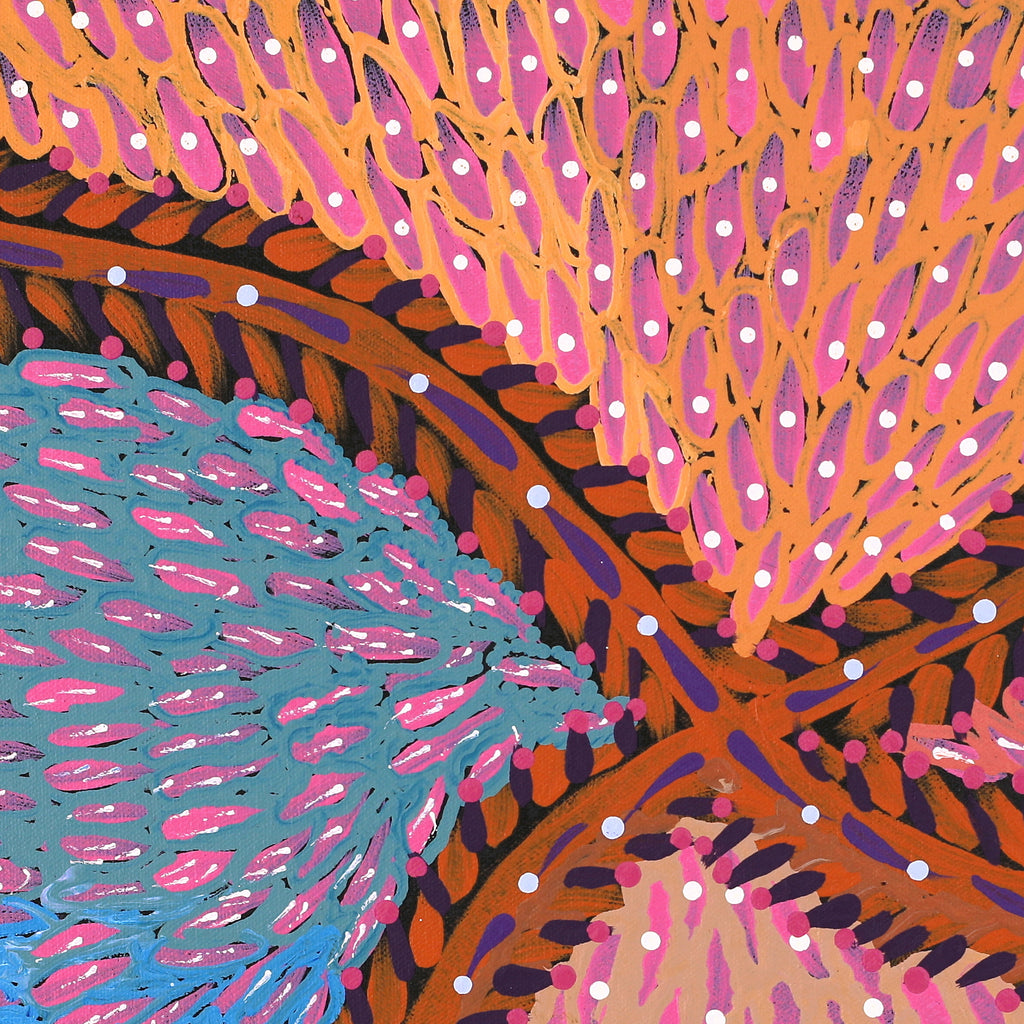 Aboriginal Artwork by Drusilla Nangala Spencer, Watiya-warnu Jukurrpa (Seed Dreaming), 61x46cm
