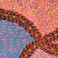 Aboriginal Artwork by Drusilla Nangala Spencer, Watiya-warnu Jukurrpa (Seed Dreaming), 61x46cm