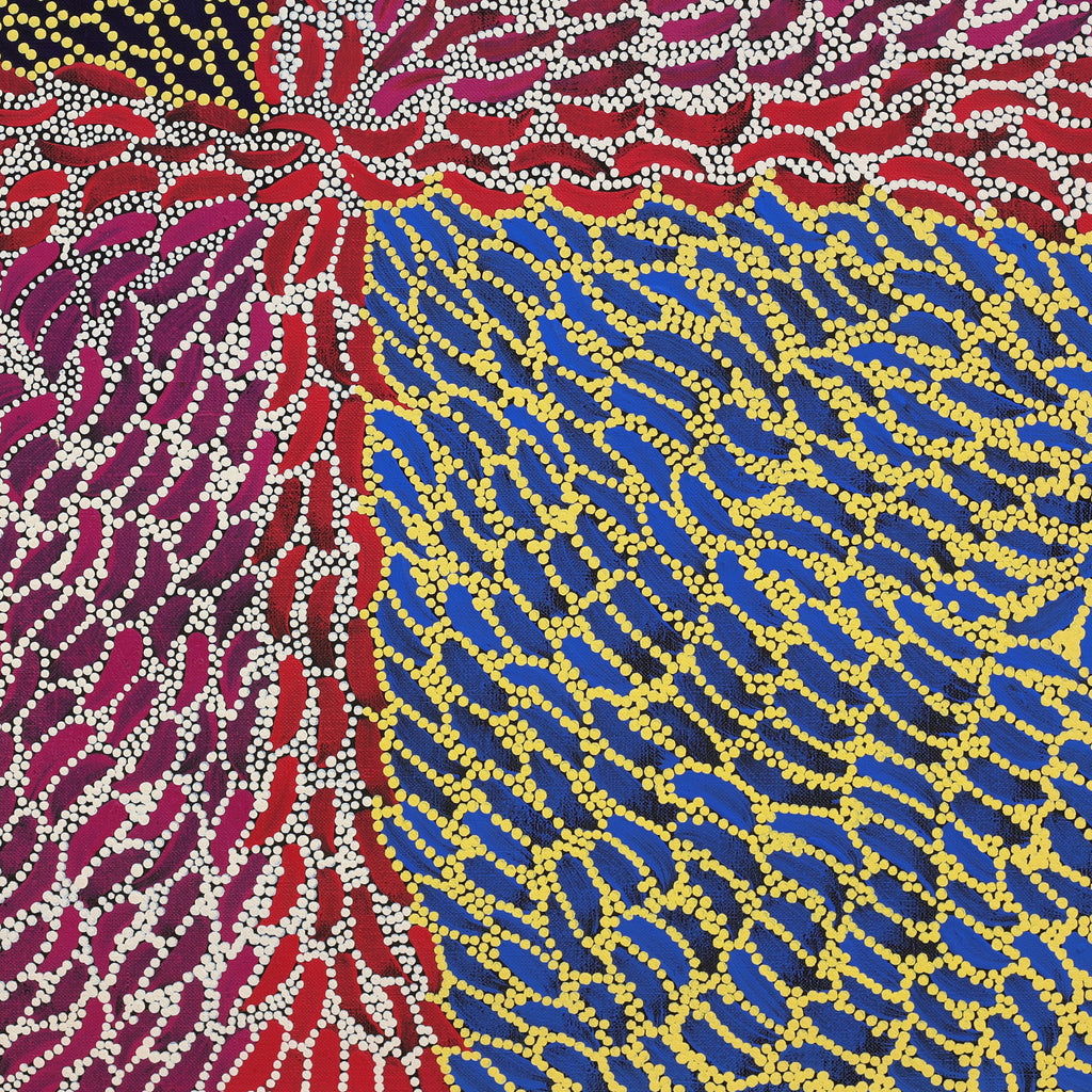 Drusilla Nangala Spencer, Yuparli Jukurrpa (Bush Banana Dreaming), 61x61cm