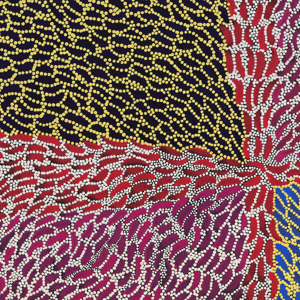 Drusilla Nangala Spencer, Yuparli Jukurrpa (Bush Banana Dreaming), 61x61cm