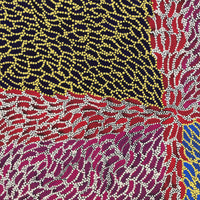 Drusilla Nangala Spencer, Yuparli Jukurrpa (Bush Banana Dreaming), 61x61cm