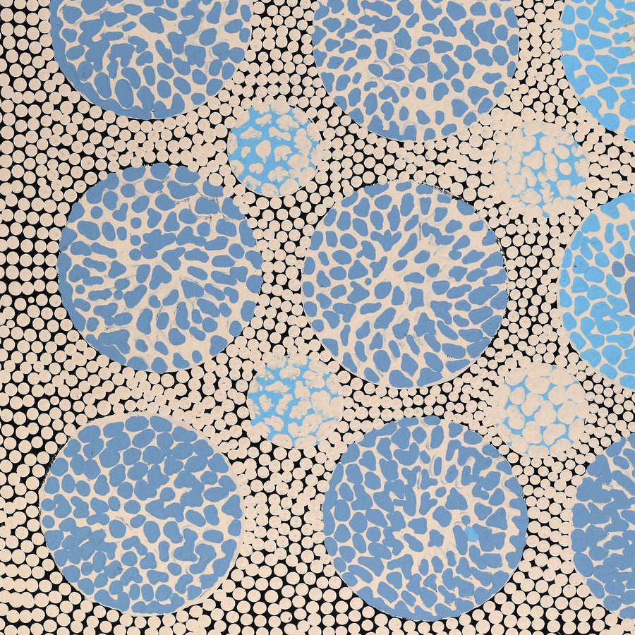 Aboriginal Artwork by Drusilla Nangala Spencer, Watiya-warnu Jukurrpa (Seed Dreaming), 76x46cm